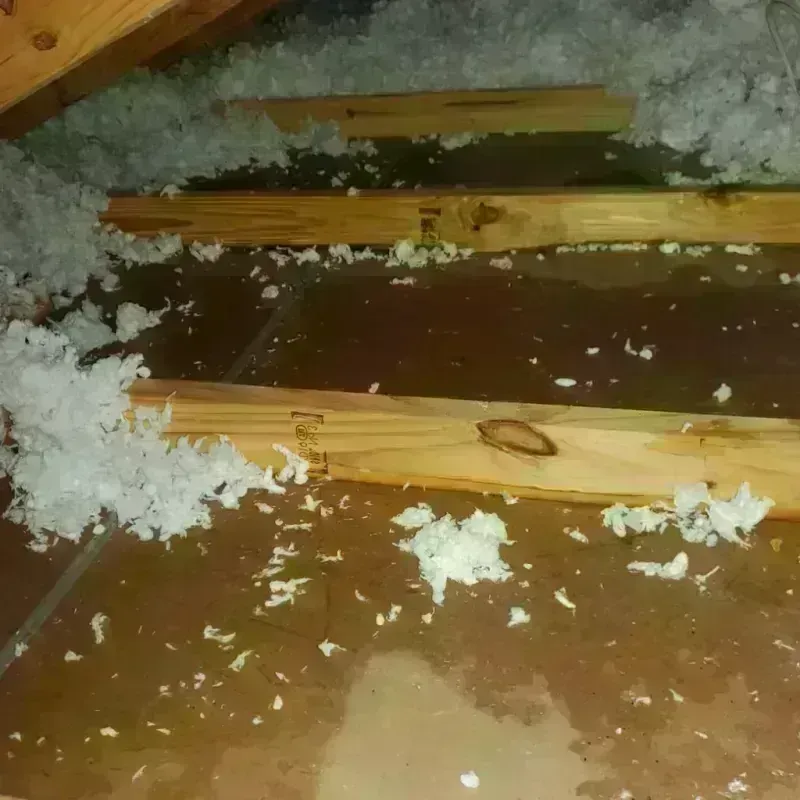 Attic Water Damage in Lauderdale, MN