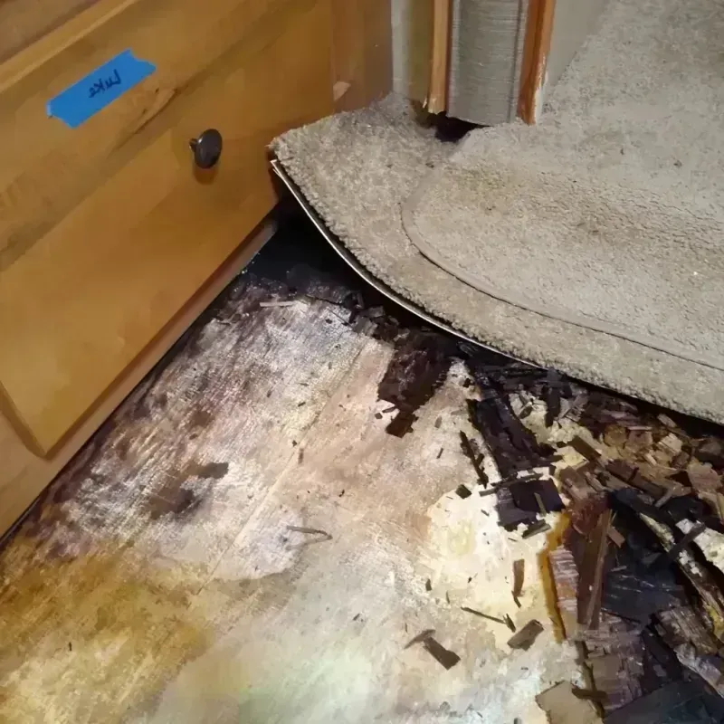 Wood Floor Water Damage in Lauderdale, MN